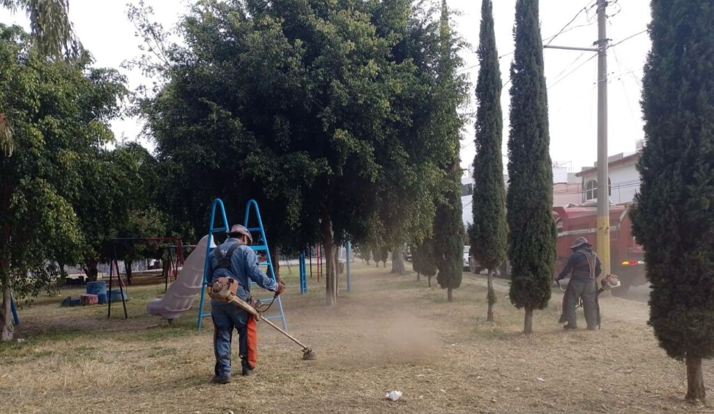 Realiza Gobierno de la Ciudad labores de mantenimiento y limpieza en ...